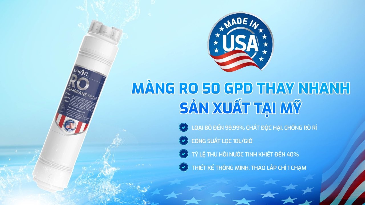 Máy lọc nước Karofi KAQ-D20